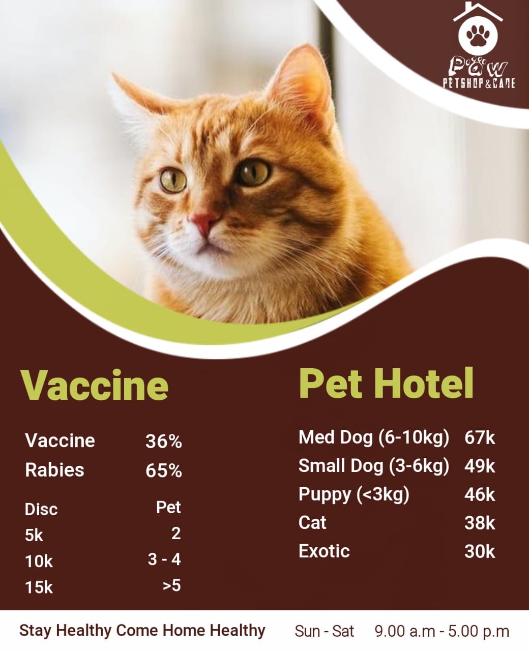 vaksin anjing surabaya