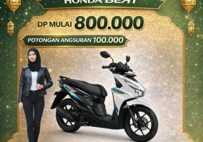 WhatsApp-Image-2026-02-19-at-18.27.27