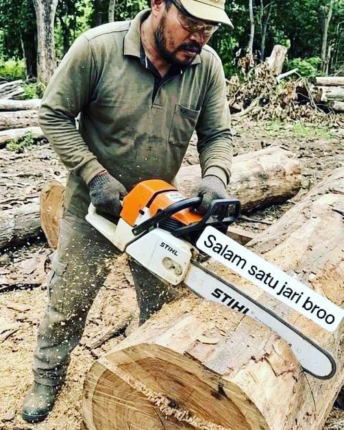 Jasa Tebang Pohon Cirebon 085189748826