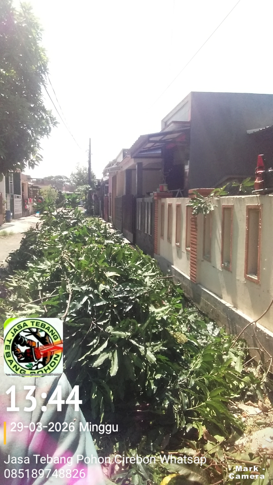 Jasa Tebang Pohon Cirebon 085189748826